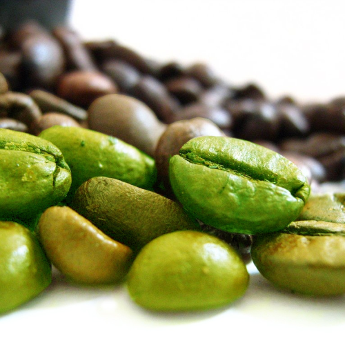 Green-Coffee-Bean-500x500
